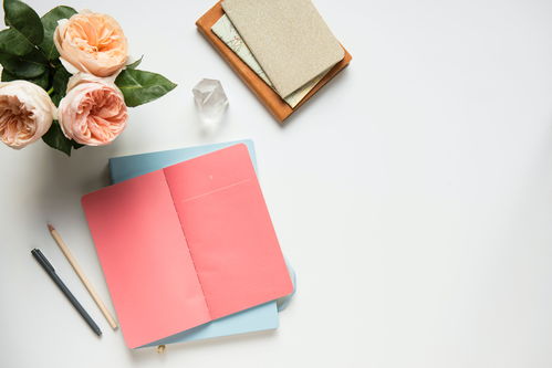 文體用品制造業(yè)上半年經(jīng)濟(jì)數(shù)據(jù)亮眼，展現(xiàn)強(qiáng)勁增長動(dòng)能