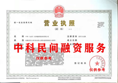 中科山東民間融資服務(wù)公司股權(quán)轉(zhuǎn)讓中的技術(shù)咨詢與技術(shù)服務(wù)